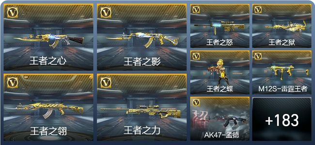 穿越火线：枪战王者V8 319英雄武器 新锐