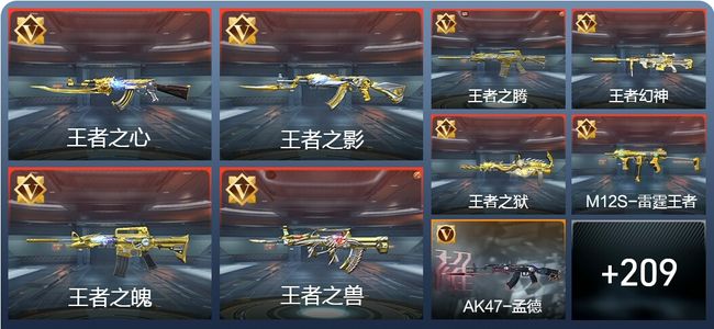 穿越火线：枪战王者V8 380英雄武器 新锐