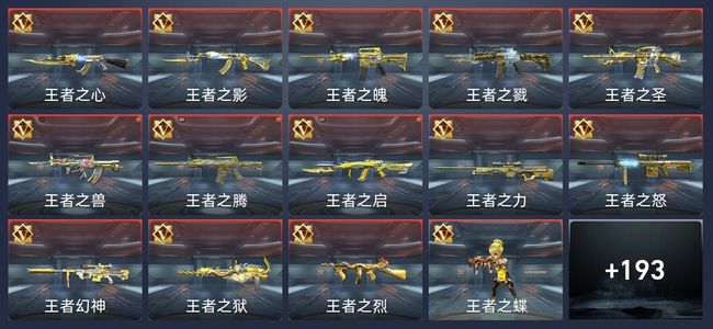 穿越火线：枪战王者V9 47王者 307英雄武器 新锐