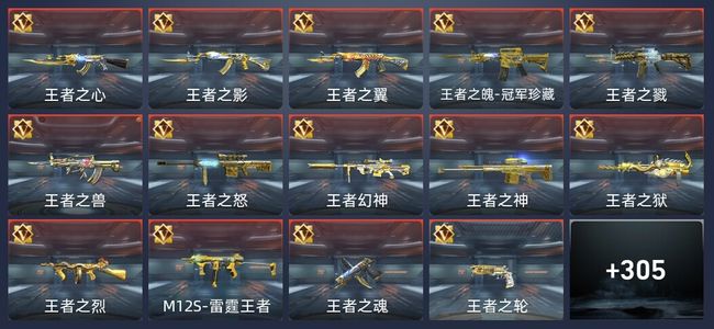 穿越火线：枪战王者V9 542英雄武器 新锐