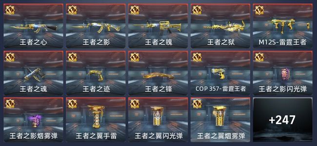 穿越火线：枪战王者V8 63王者 441英雄武器 新锐