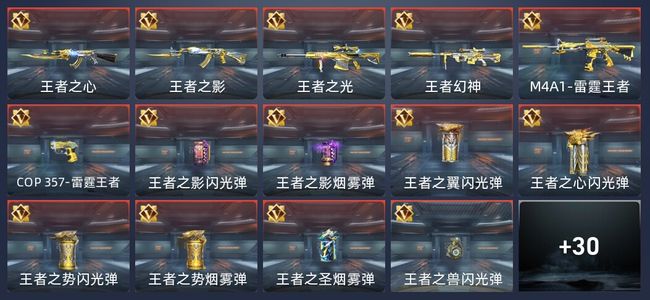 穿越火线：枪战王者V7 24王者 67英雄武器 2英雄角色 263万化 新锐