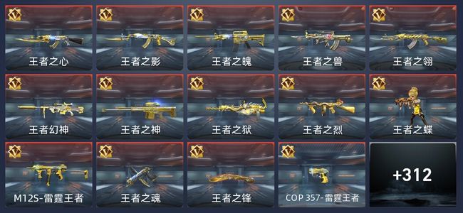 穿越火线：枪战王者V9 37王者 449英雄武器 12英雄角色 767万化 新锐