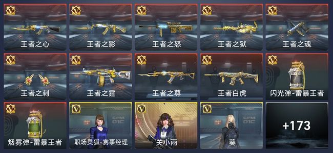 穿越火线：枪战王者V8 16王者 285英雄武器 新锐