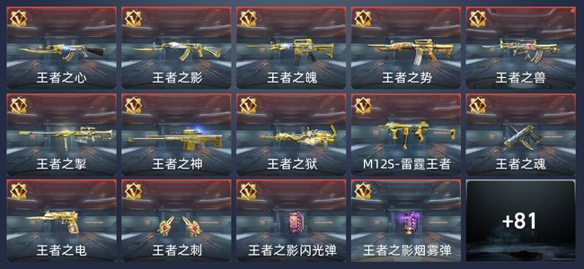 穿越火线：枪战王者V9 23王者 123英雄武器 新锐