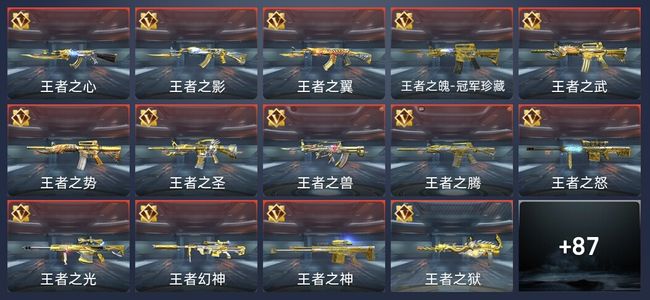 穿越火线：枪战王者V9 49王者 132英雄武器 新锐