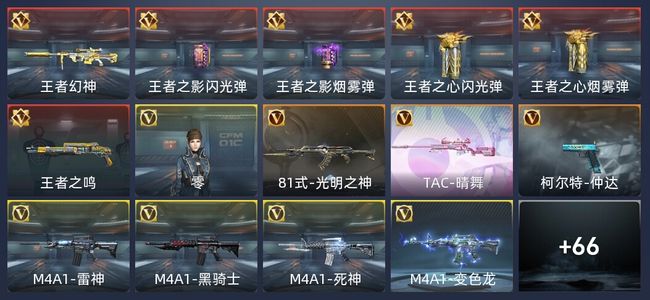 穿越火线：枪战王者V5 134英雄武器 新锐