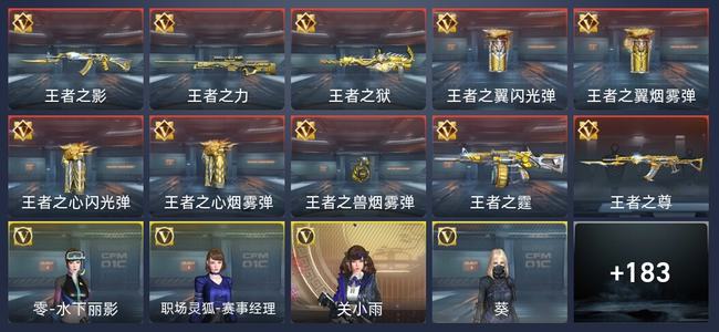 穿越火线：枪战王者V5 12王者 336英雄武器 9英雄角色 300万化 新锐