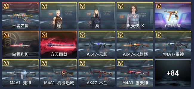 穿越火线：枪战王者V5 155英雄武器 新锐