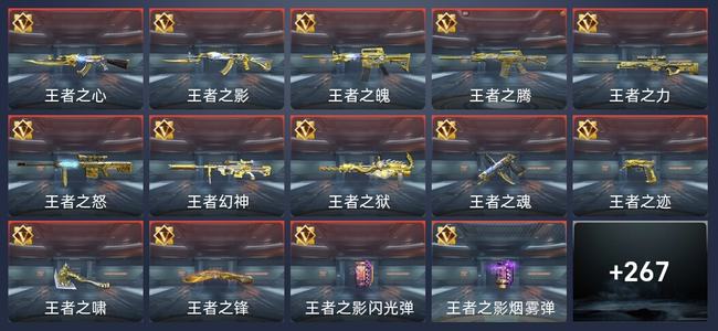 穿越火线：枪战王者32王者 269英雄武器 12英雄角色 508万化 专家S