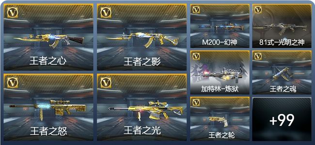 穿越火线：枪战王者V6 7王者武器 117英雄武器 4英雄角色 312万化 专家