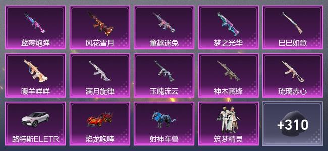 和平精英3载具 10升级枪 14粉装 4尾迹 175套装 77642热力 11印记