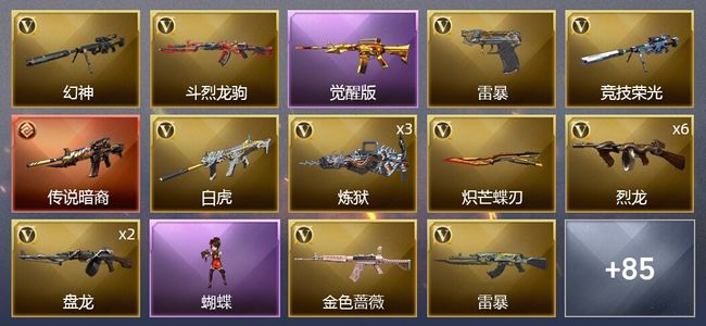 穿越火线（CF）1传说武器 2王者武器 2炫金武器 134V武器 6V角色 22皮肤 可排位 枪王