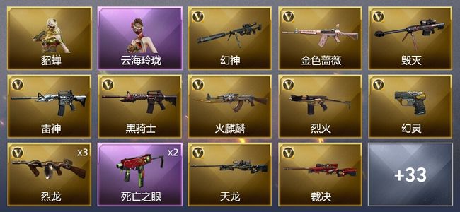 穿越火线（CF）1王者武器 49V武器 19皮肤 可排位 专家