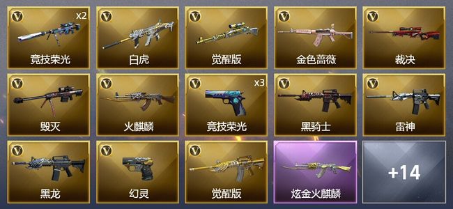 穿越火线（CF）1炫金武器 55V武器 1V角色 10皮肤 可排位 新锐