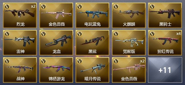 穿越火线（CF）1王者武器 30V武器 14皮肤 可排位 传奇