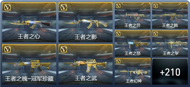 穿越火线：枪战王者V9 35王者武器 236英雄武器 7英雄角色 284万化 枪神
