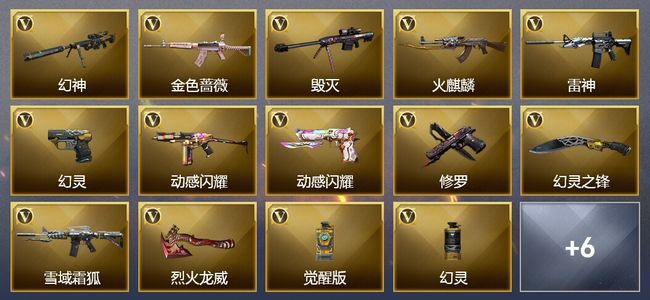 穿越火线（CF）25V武器 5皮肤 可排位 新锐