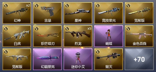 穿越火线（CF）2传说武器 1王者武器 1炫金武器 89V武器 5V角色 41皮肤 可排位