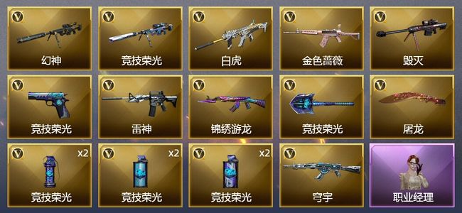 穿越火线（CF）17V武器 6皮肤 可排位 专家