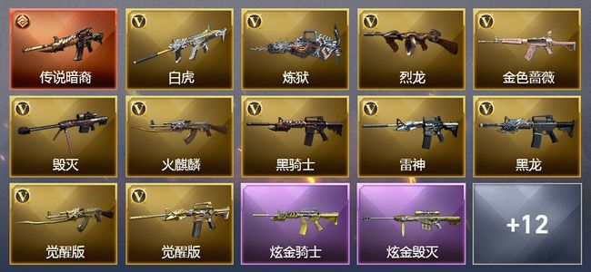 穿越火线（CF）1传说武器 2炫金武器 22V武器 2V角色 4皮肤 可排位