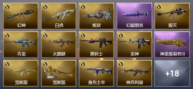 穿越火线（CF）1王者武器 40V武器 13皮肤 可排位 专家