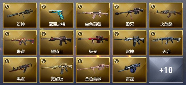 穿越火线（CF）30V武器 5皮肤 可排位 专家