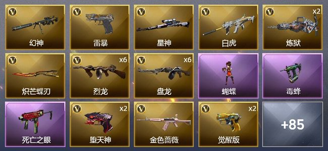 穿越火线（CF）1传说武器 4王者武器 3炫金武器 153V武器 3V角色 39皮肤 可排位 新锐