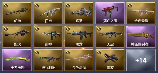 穿越火线（CF）2王者武器 21V武器 2V角色 5皮肤 可排位 传奇