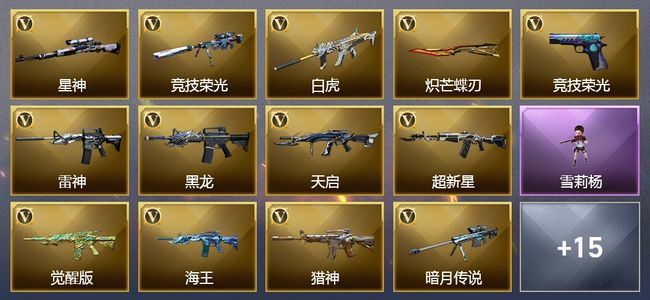 穿越火线（CF）49V武器 2V角色 3皮肤 可排位 新锐