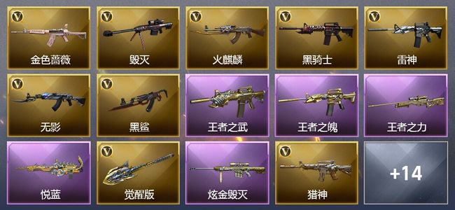 穿越火线（CF）4王者武器 1炫金武器 28V武器 1V角色 7皮肤 可排位 传奇