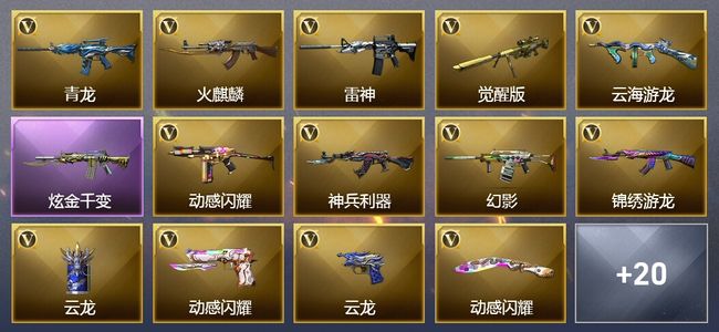 穿越火线（CF）1炫金武器 25V武器 1V角色 4皮肤 可排位 新锐