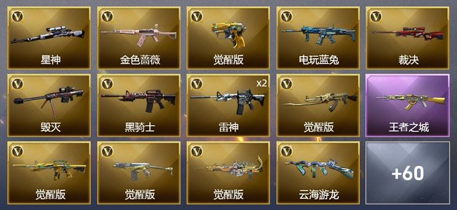 穿越火线（CF）2王者武器 1炫金武器 77V武器 1V角色 23皮肤 可排位 枪王