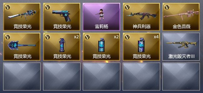 穿越火线（CF）13V武器 2皮肤 可排位 专家