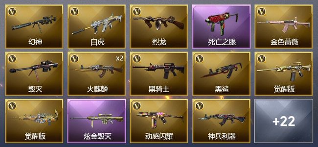 穿越火线（CF）1炫金武器 29V武器 11皮肤 可排位 传奇