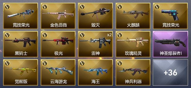 穿越火线（CF）33V武器 1V角色 3皮肤 可排位 新锐