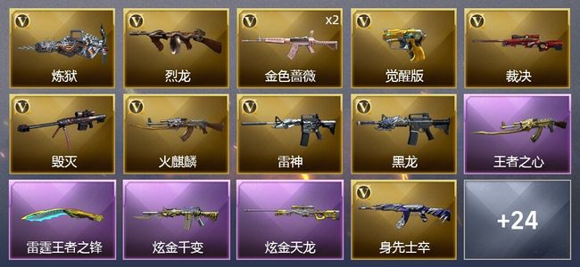 穿越火线（CF）5王者武器 2炫金武器 27V武器 1V角色 6皮肤 可排位 专家