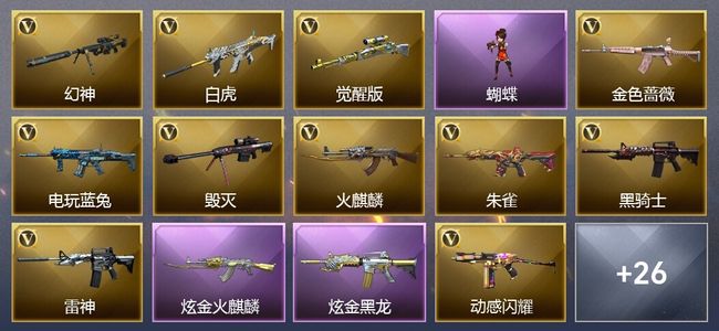 穿越火线（CF）2炫金武器 30V武器 22皮肤 可排位 传奇