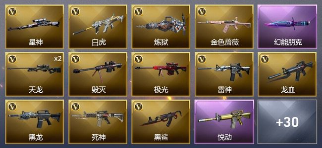 穿越火线（CF）1传说武器 4王者武器 35V武器 1V角色 10皮肤 可排位 宗师