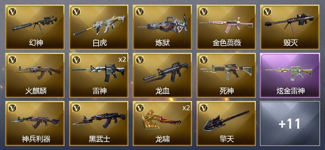 穿越火线（CF）1炫金武器 20V武器 11皮肤 可排位 枪王