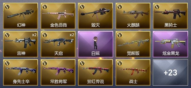 穿越火线（CF）2王者武器 1炫金武器 35V武器 2V角色 10皮肤 可排位 枪王