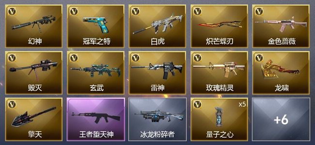 穿越火线（CF）1王者武器 23V武器 2V角色 8皮肤 可排位 新锐