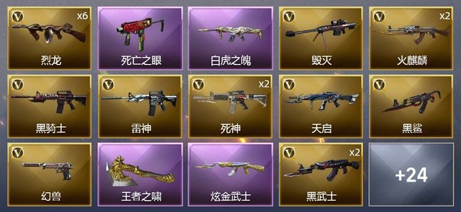 穿越火线（CF）2王者武器 1炫金武器 47V武器 13皮肤 可排位 宗师