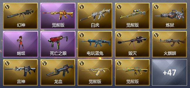 穿越火线（CF）2王者武器 43V武器 3V角色 10皮肤 可排位 新锐