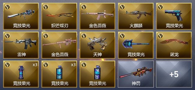 穿越火线（CF）17V武器 1V角色 8皮肤 可排位 新锐