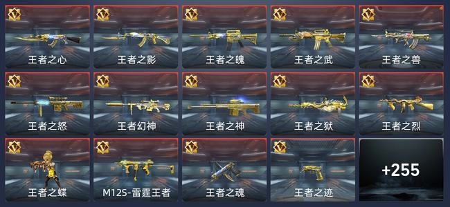 穿越火线：枪战王者V8 425英雄武器 新锐