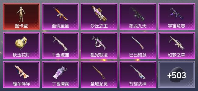 和平精英【苹果版】7载具 23升级枪 19粉装 24尾迹 254套装 142744热力 18印记