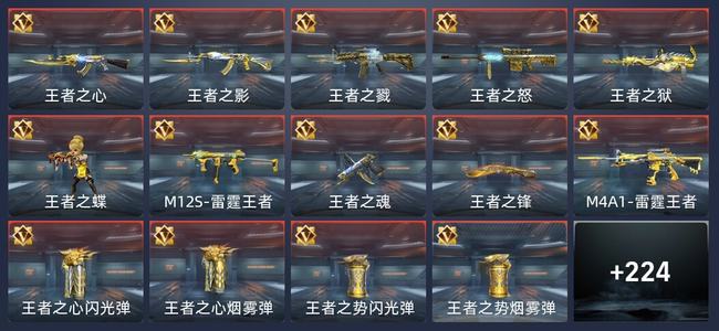穿越火线：枪战王者V8 396英雄武器 新锐