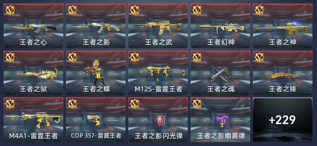 穿越火线：枪战王者V8 377英雄武器 新锐