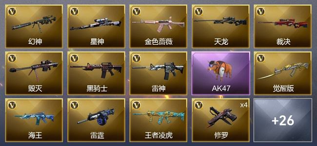 穿越火线（CF）55V武器 1V角色 17皮肤 可排位 传奇
